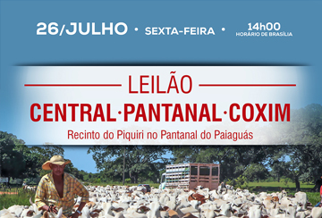 LEILÃO CENTRAL - PANTANAL - COXIM